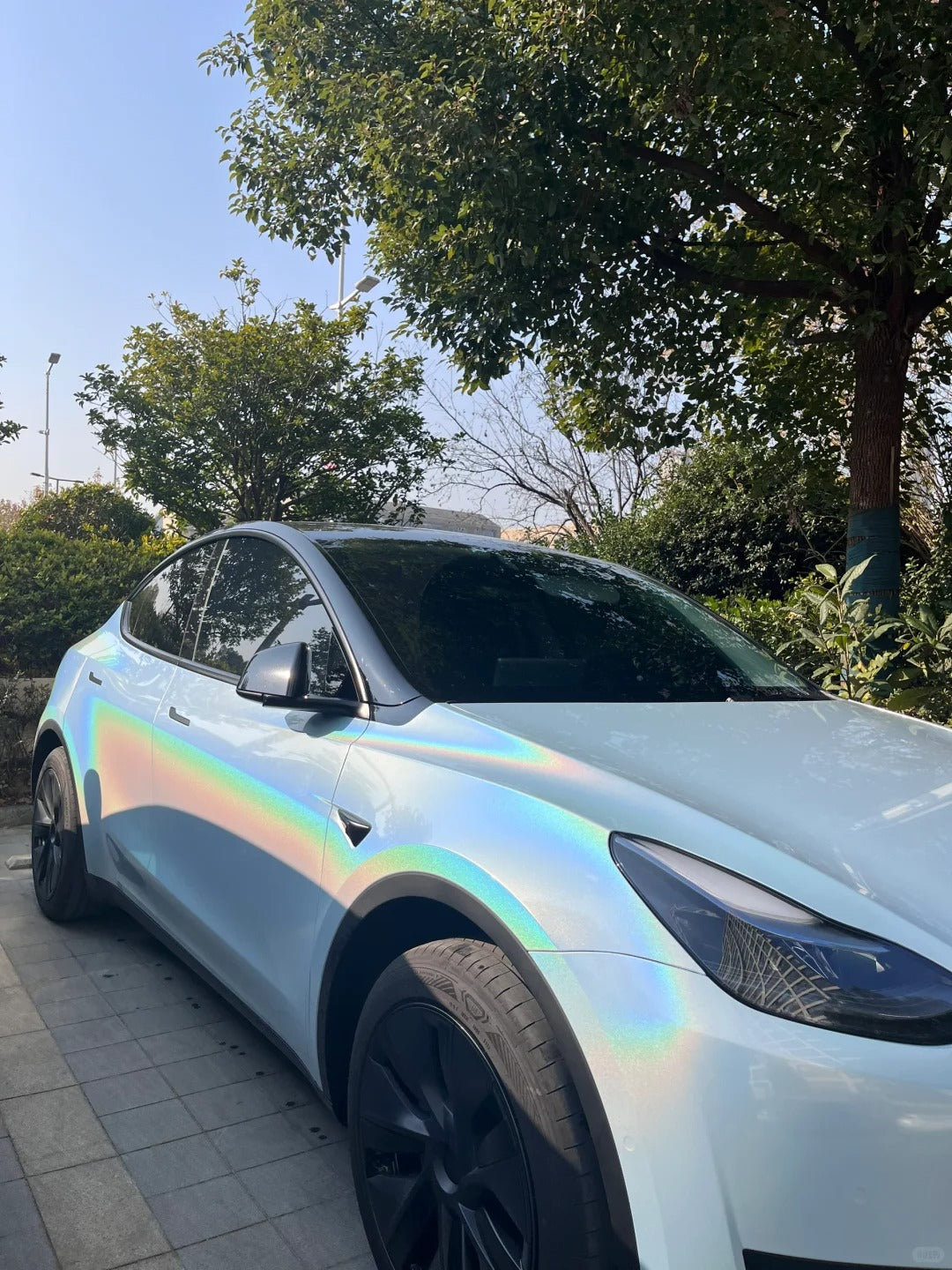 Anole Iridescence Laser Diamond Glacier Blue Vinyl Wrap
