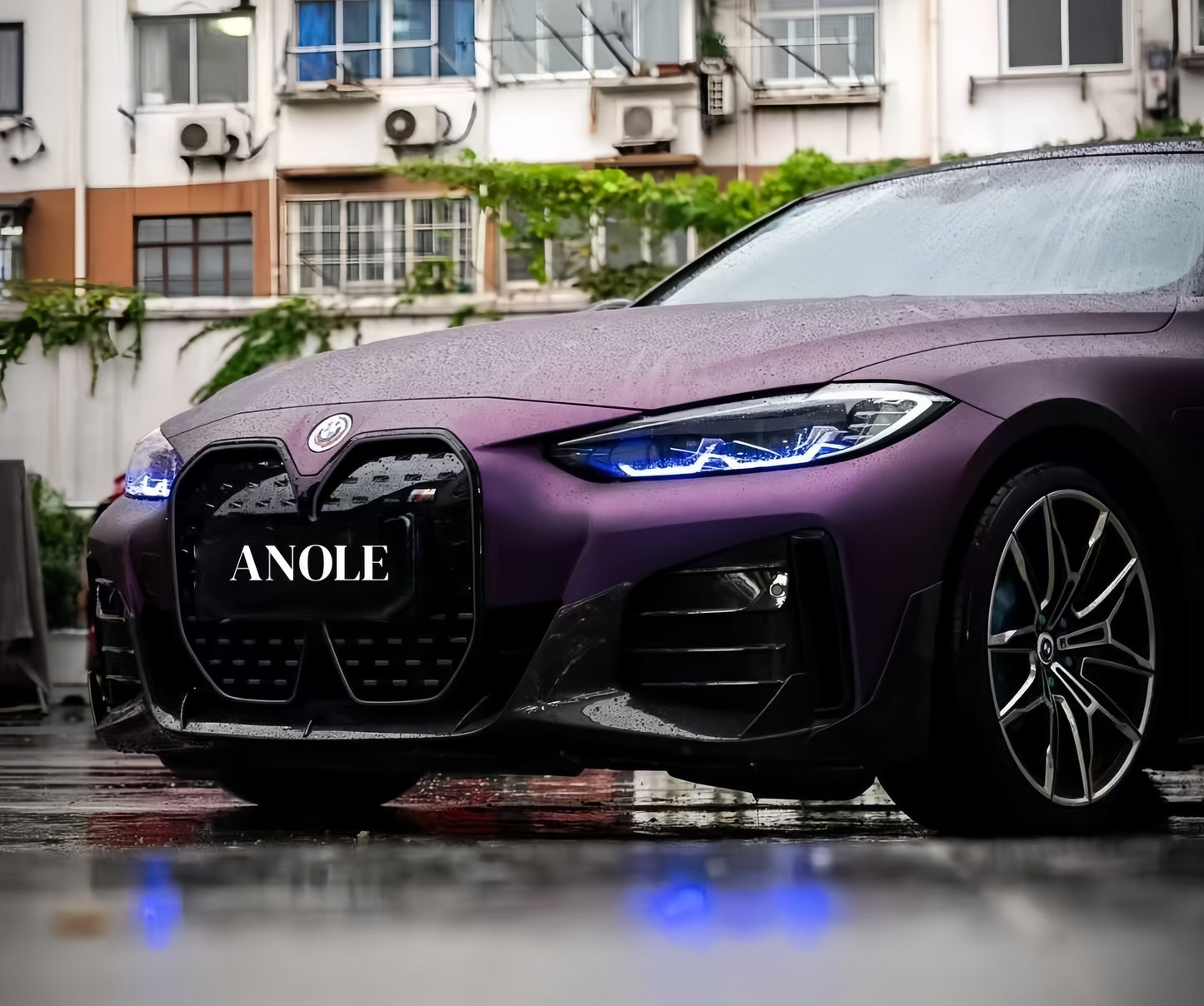 Anole TPU Pinot Noir purple Color PPF Paint Protection Film