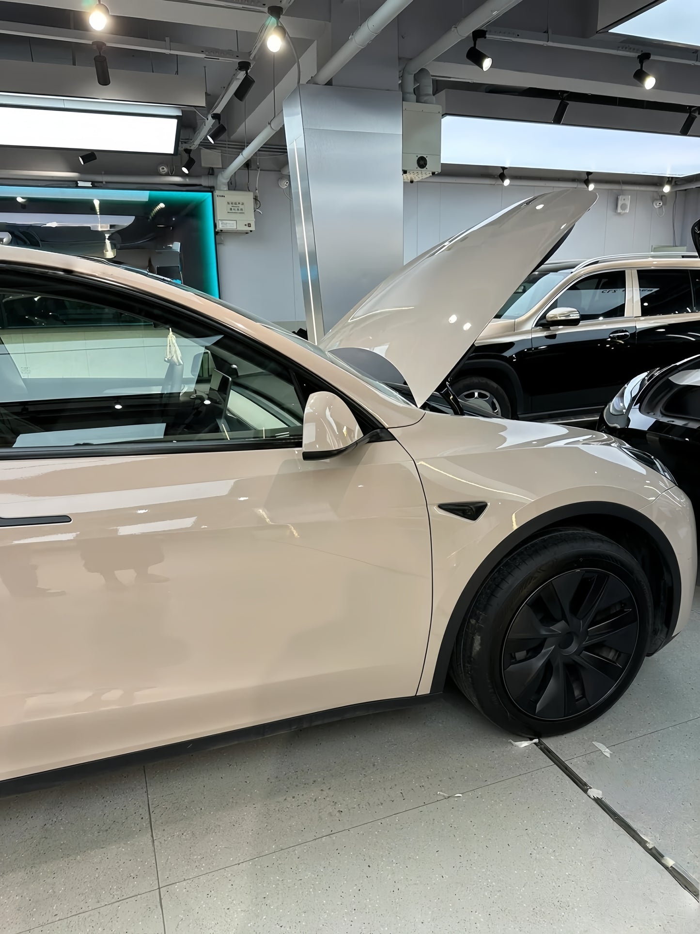 Anole High Glossy Pink Gray Car Vinyl Wrap