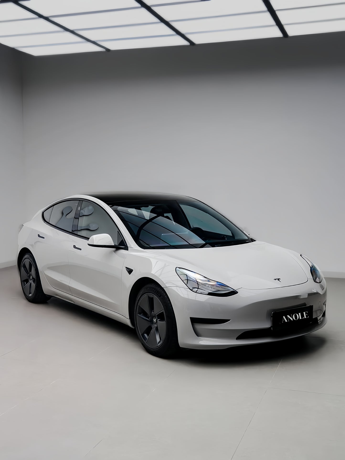 Anole High Glossy Bright Gray Vinyl Car Wrap