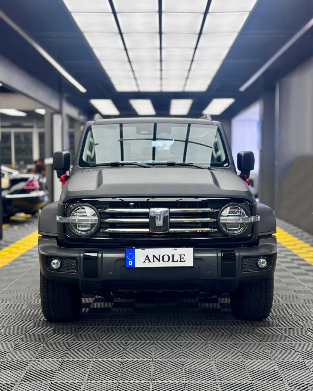 Anole Frosted Matte Black Vinyl Car Wrap