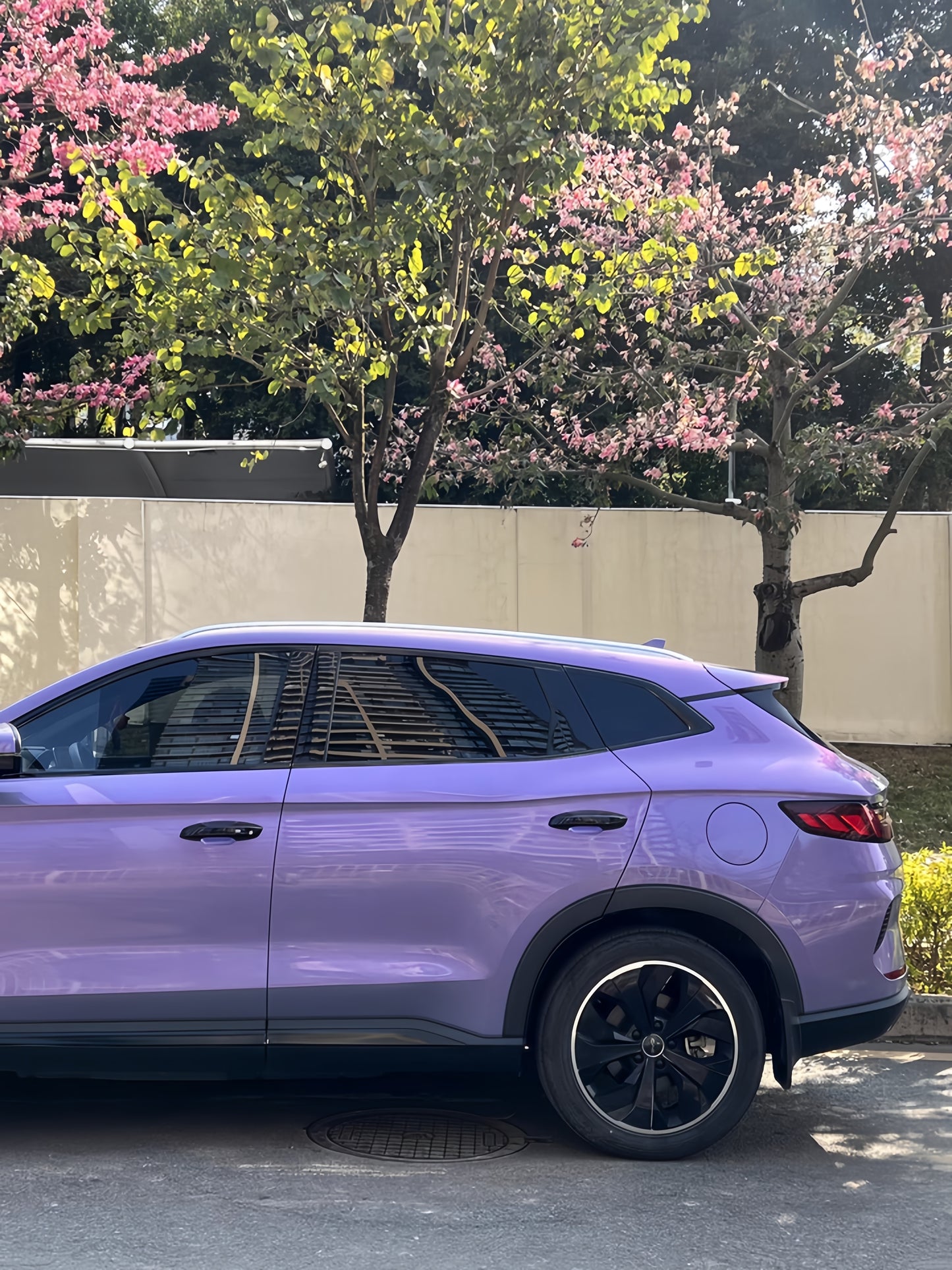Anole TPU Magic Candy Flip Grey Purple Color PPF Paint Protection Film