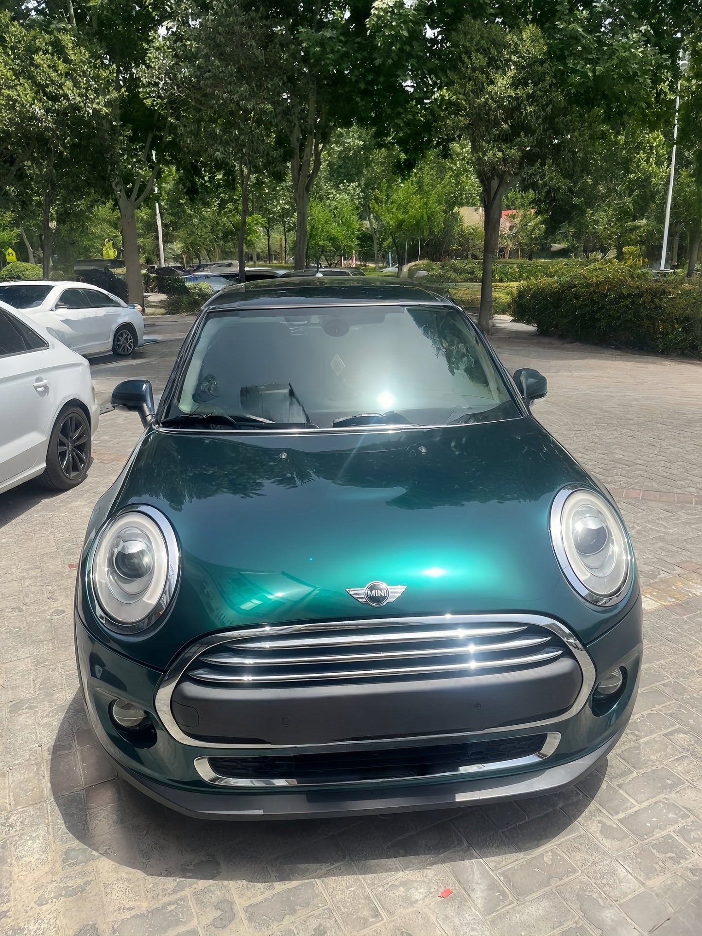 Anole Glossy Metallic Royal Green Vinyl Wrap