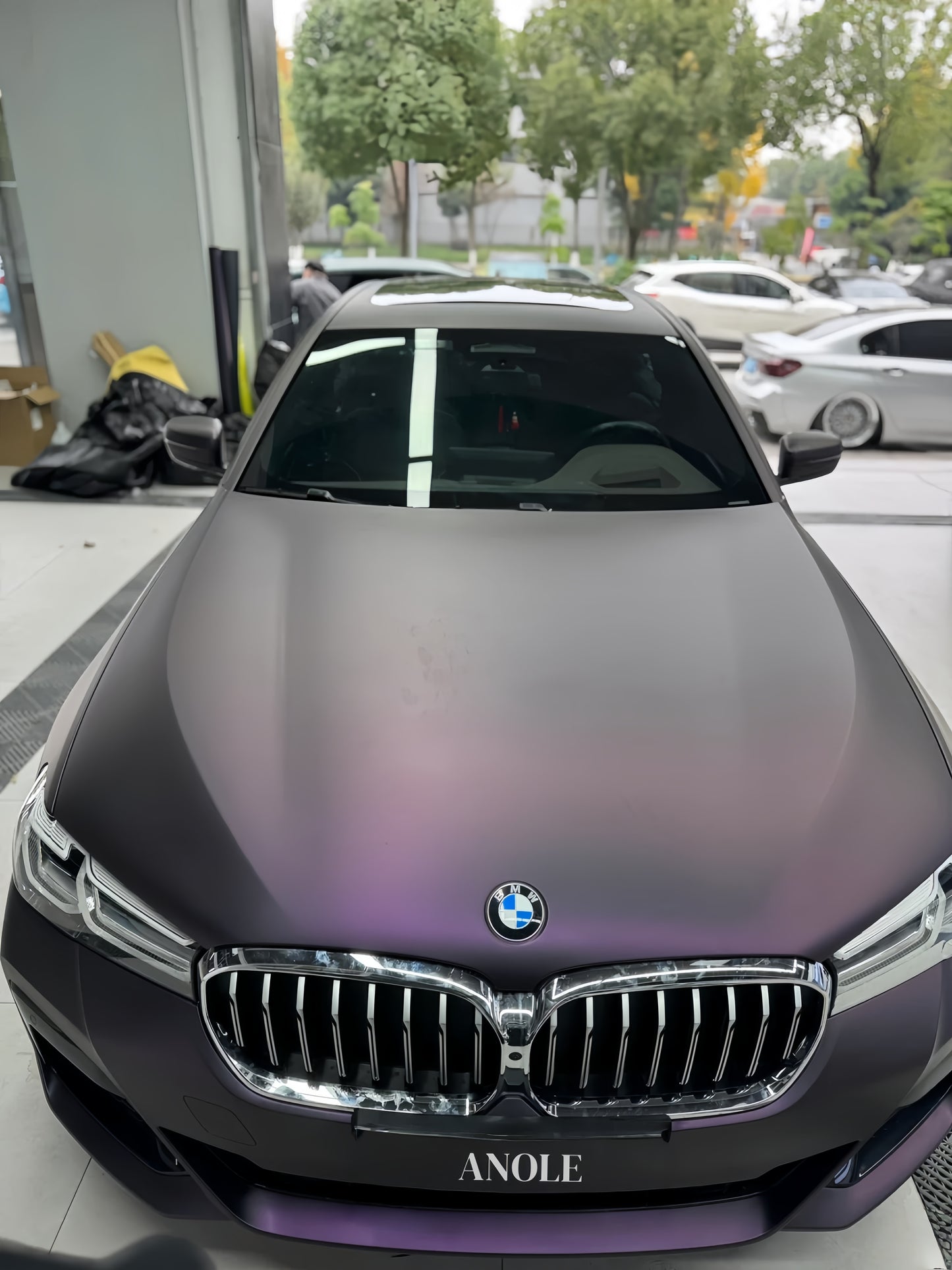 Anole Matte Dark Purple Vinyl Wrap Car