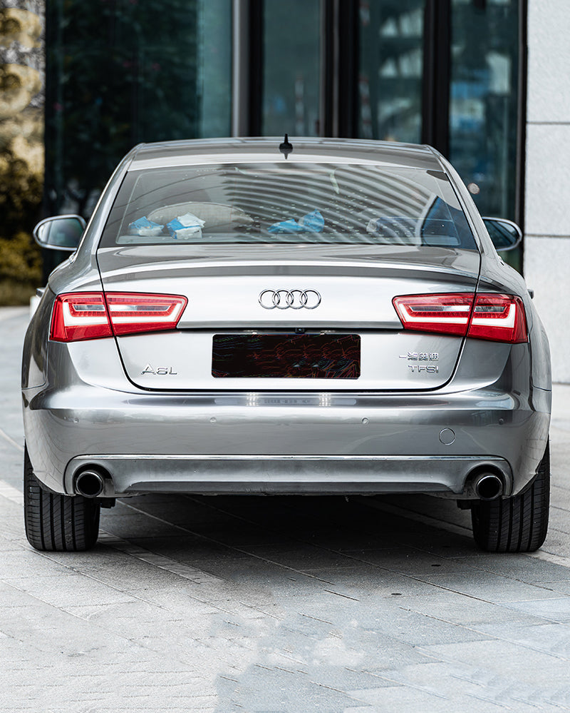 Anole Matte Chrome Silver Stain Ceramics Silver Vinyl Car Wrap