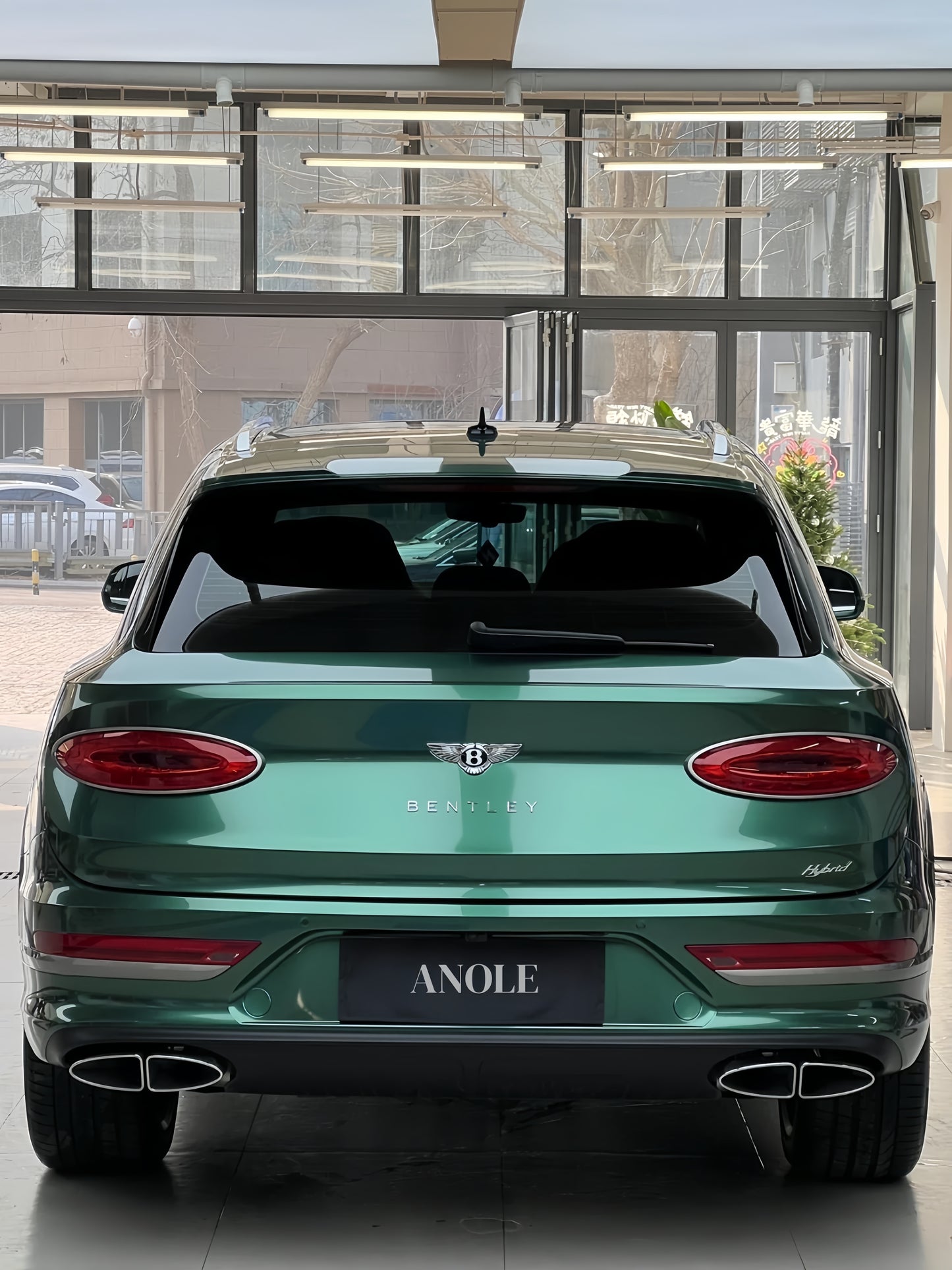 Anole Glossy Metallic Sacramento Green Car Vinyl Wrap