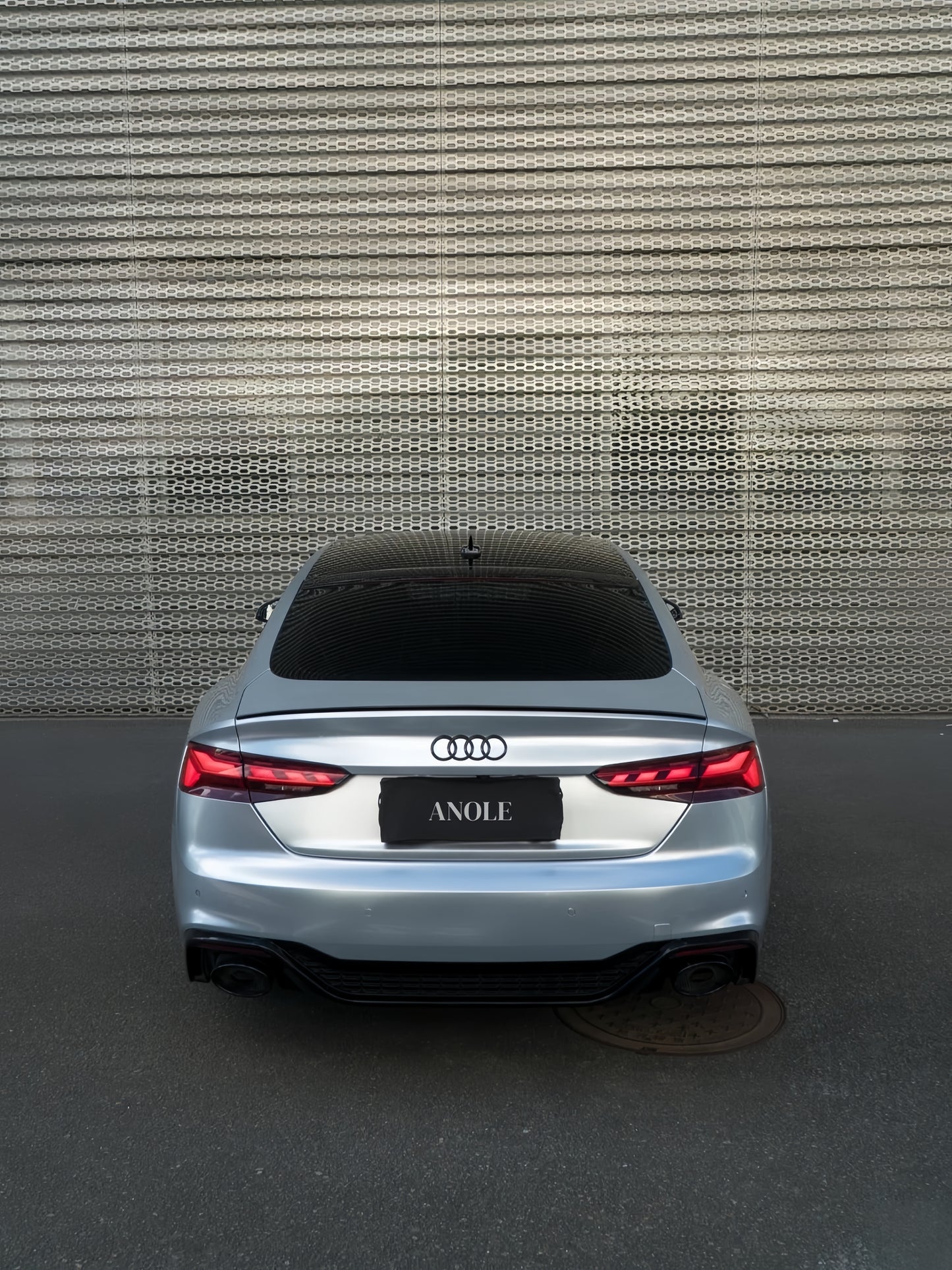 Anole Glossy Metallic Florett Silver Car Vinyl Wrap