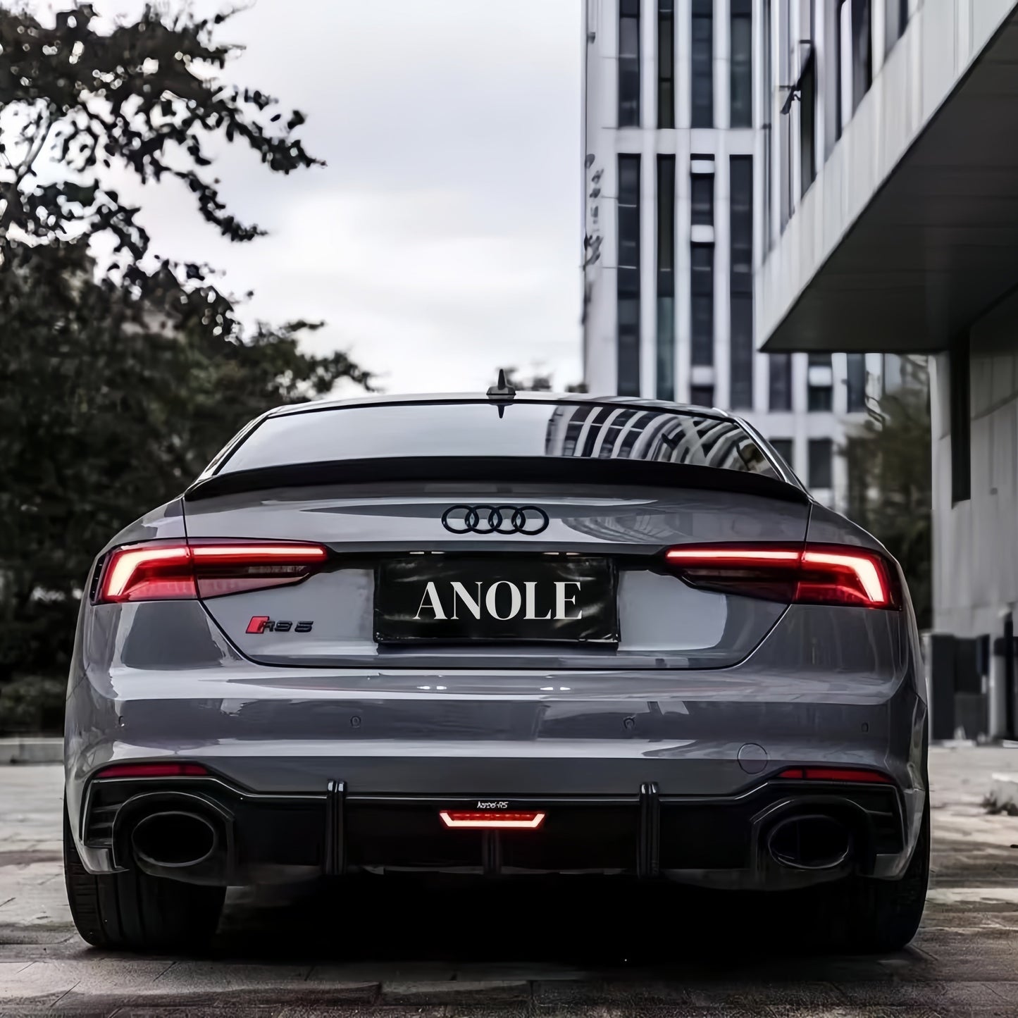 Anole High Glossy Nardo Gray vinyl Car wrap 10