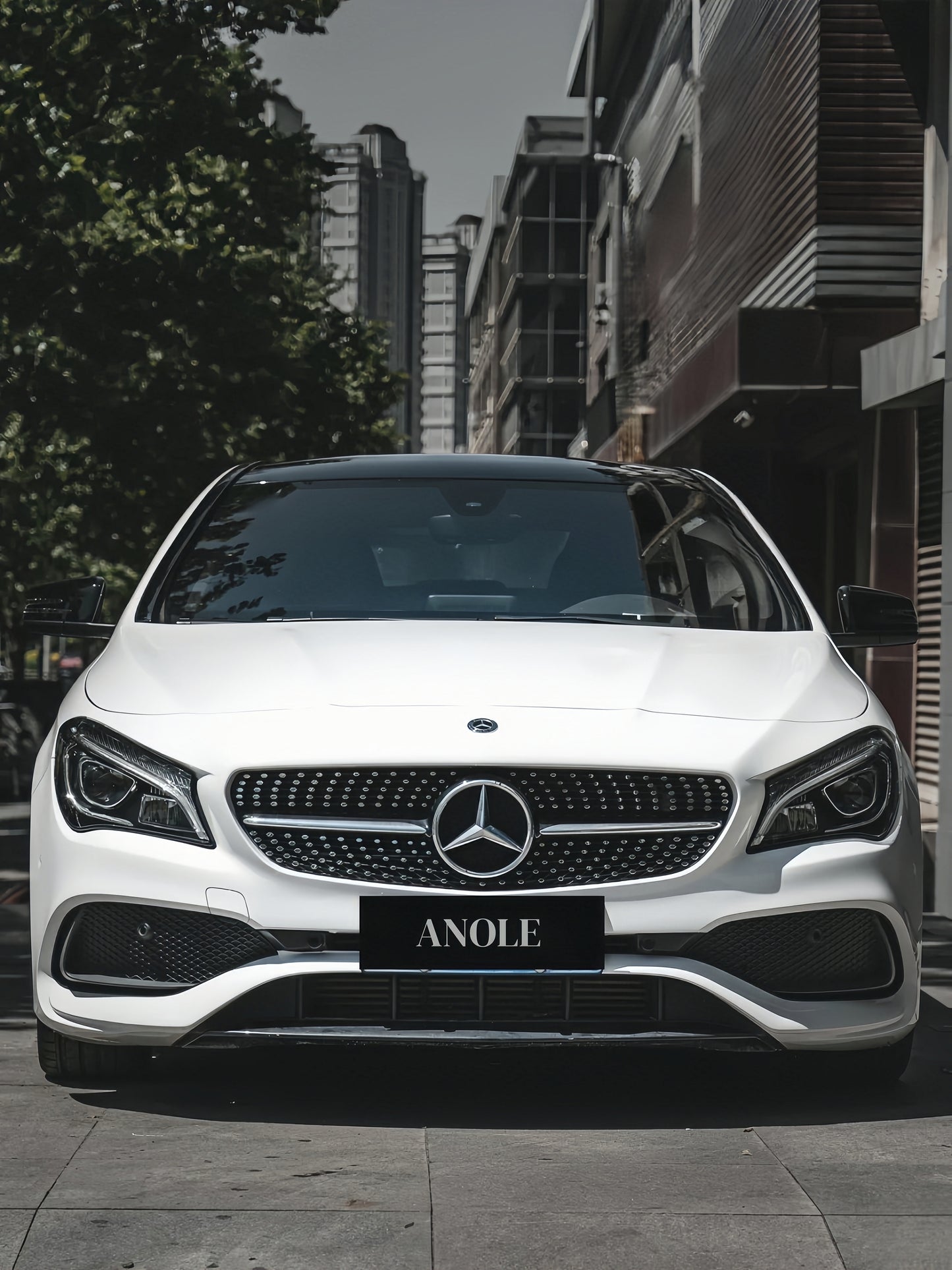 Anole High Glossy Crystal White Vinyl Car Wrap