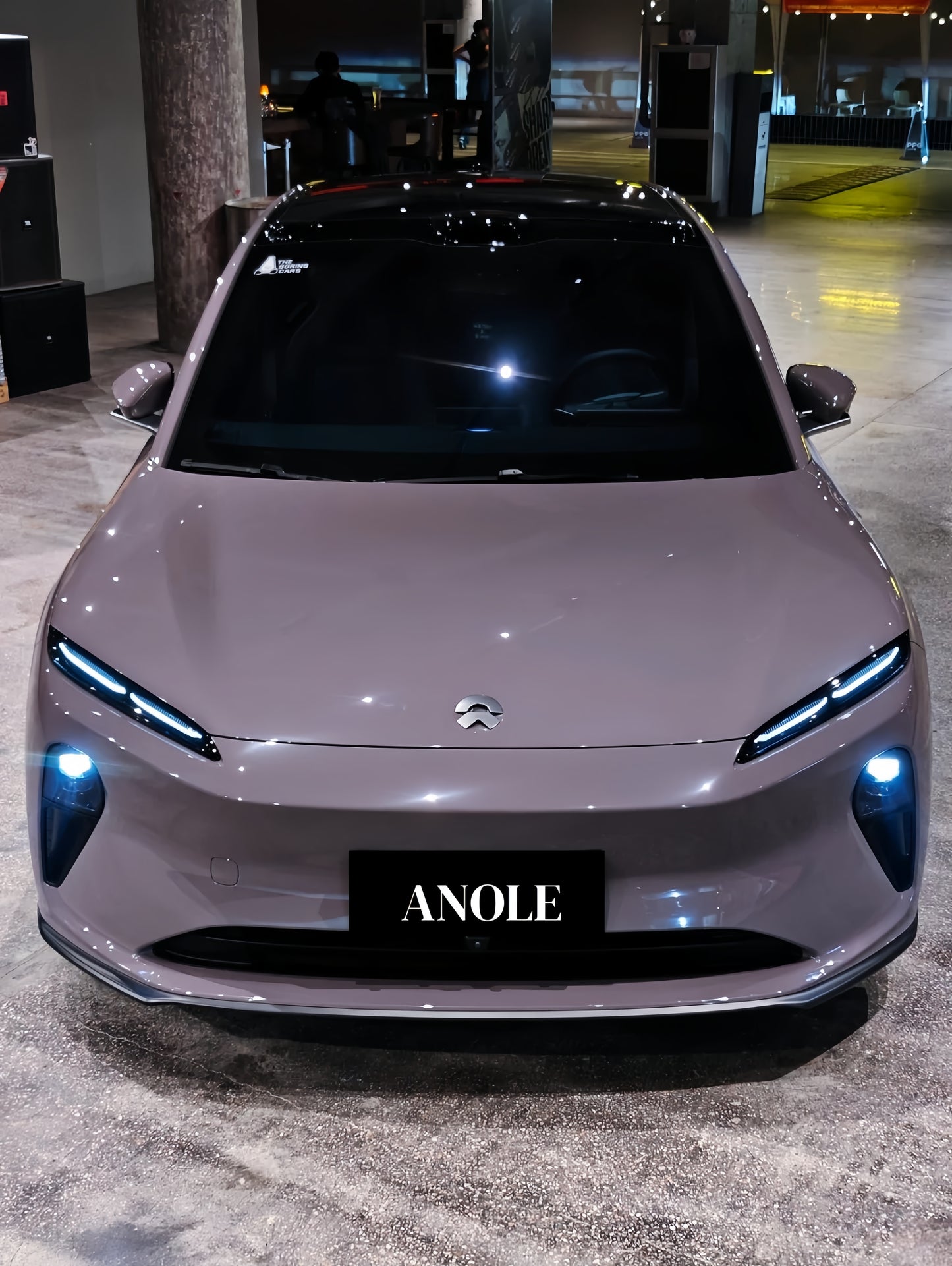 Anole High Glossy Dove Gray Pigeon Gray Vinyl Wrap