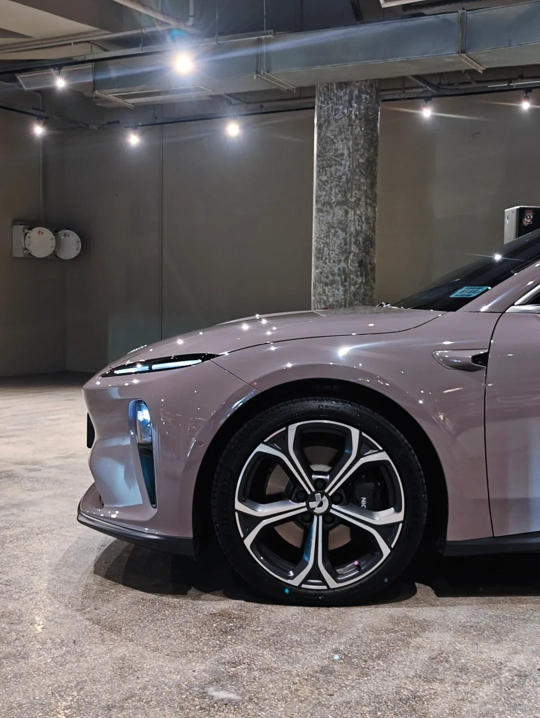 Anole High Glossy Dove Gray Pigeon Gray Vinyl Wrap