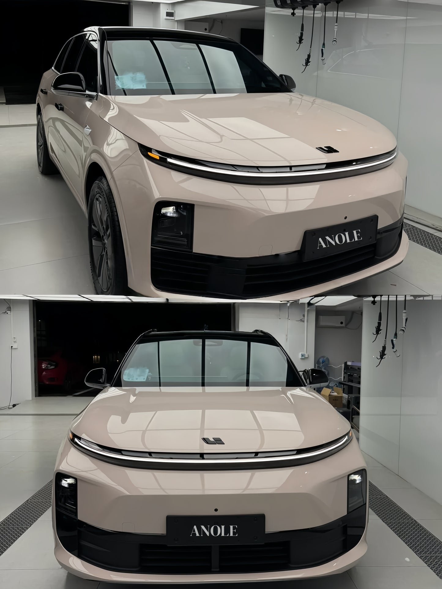 Anole High Glossy Pink Gray Car Vinyl Wrap