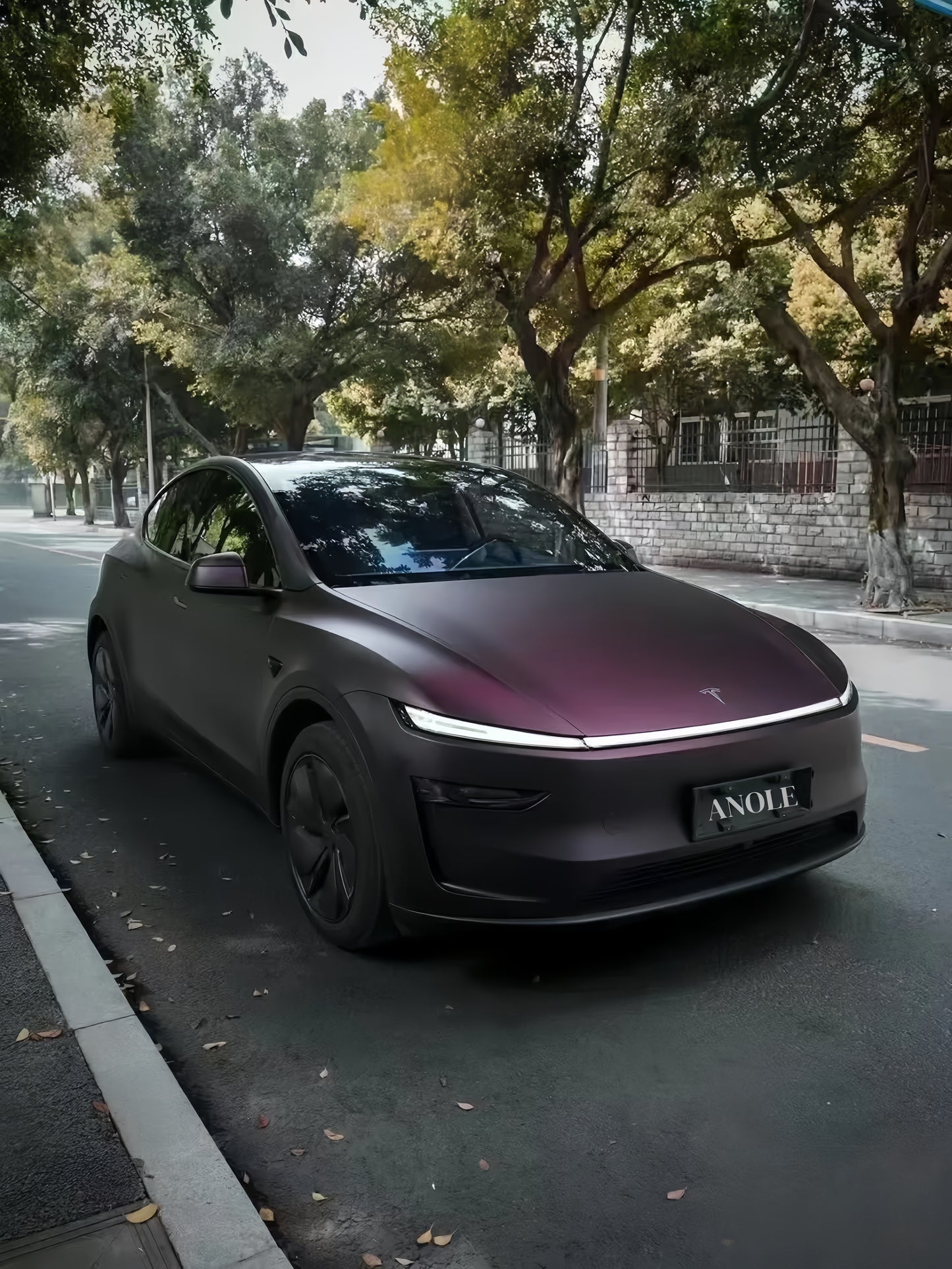 Anole Matte Dark Purple Vinyl Wrap Car