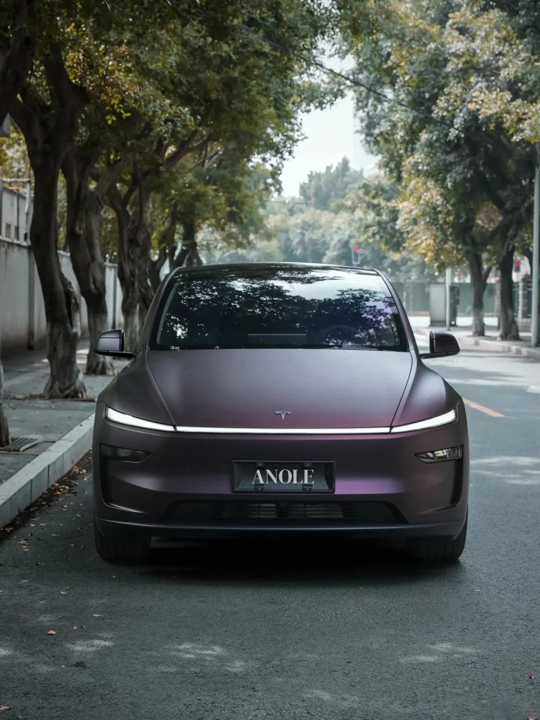 Anole Matte Dark Purple Vinyl Wrap Car