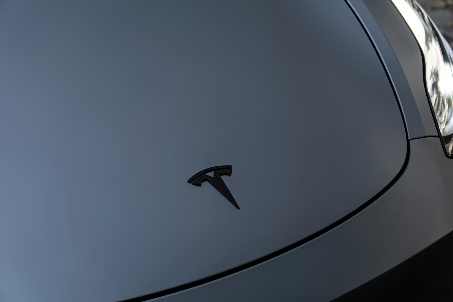 Anole Matte Silk Gray Blue Vinyl Car Wrap