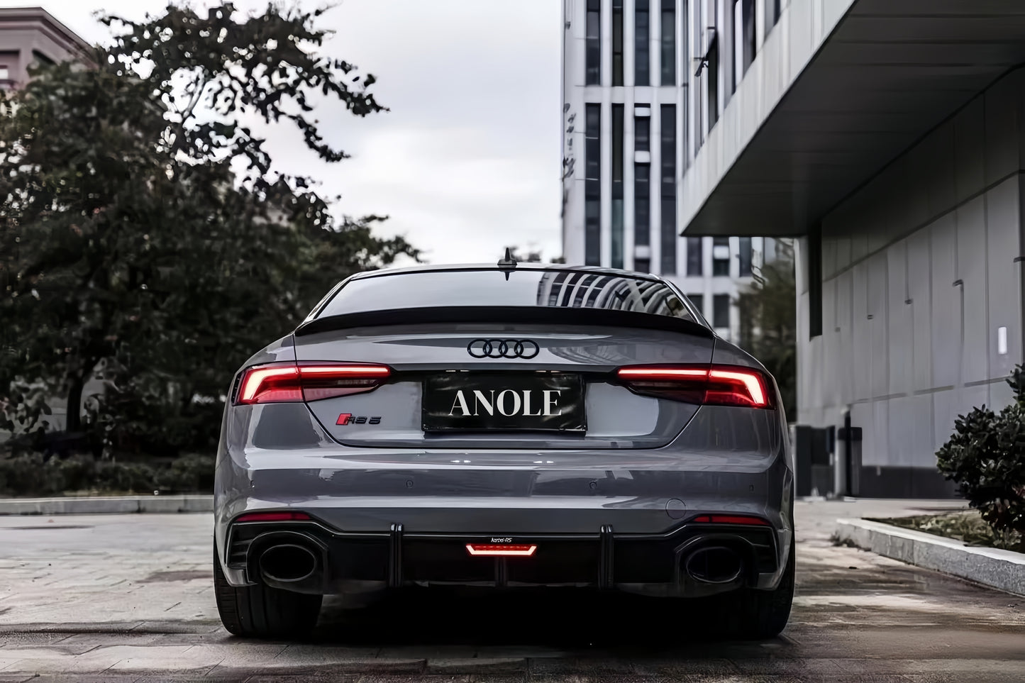 Anole Super Glossy Nardo Gray vinyl Car wrap