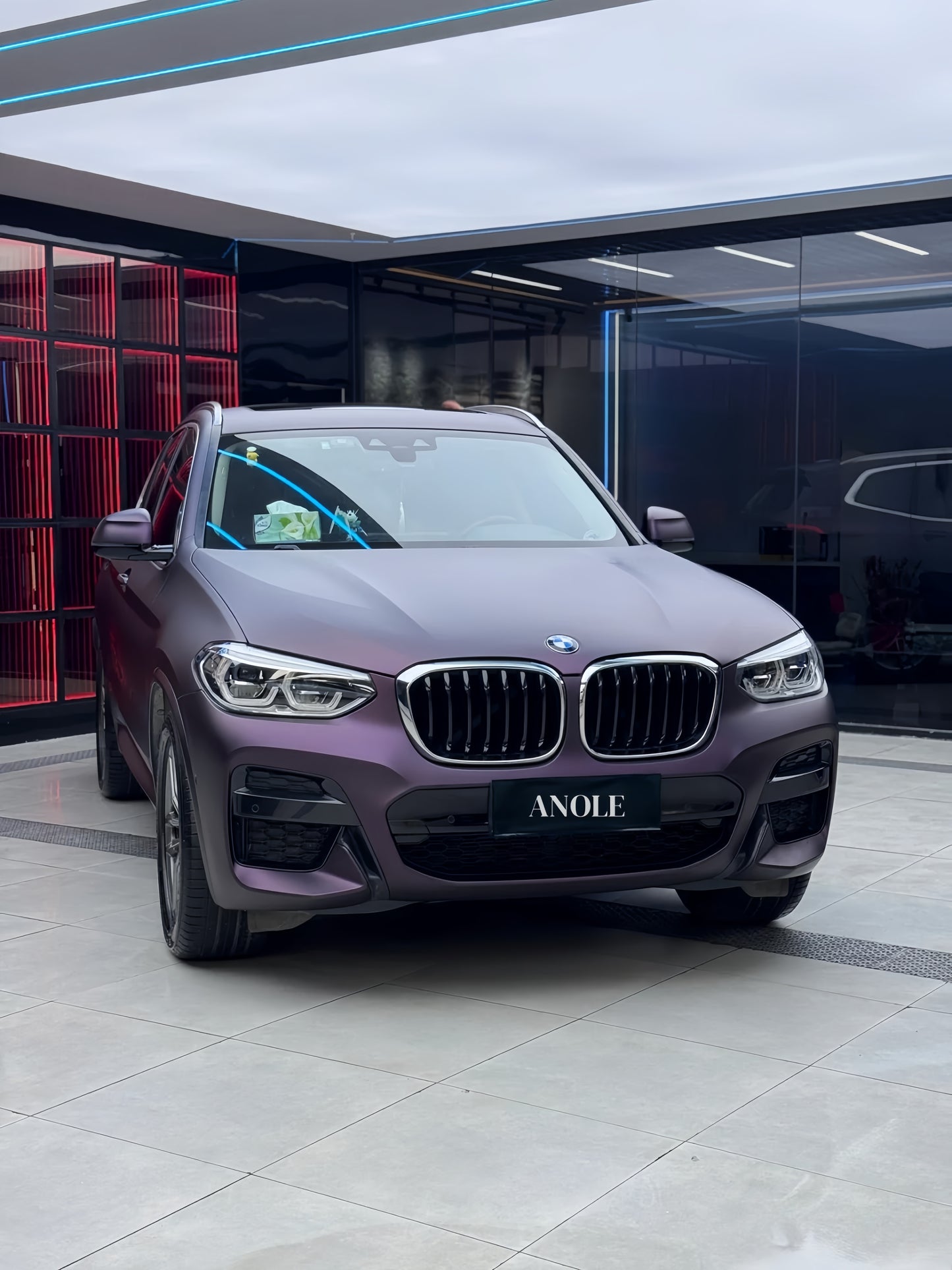 Anole Matte Dark Purple Vinyl Wrap Car