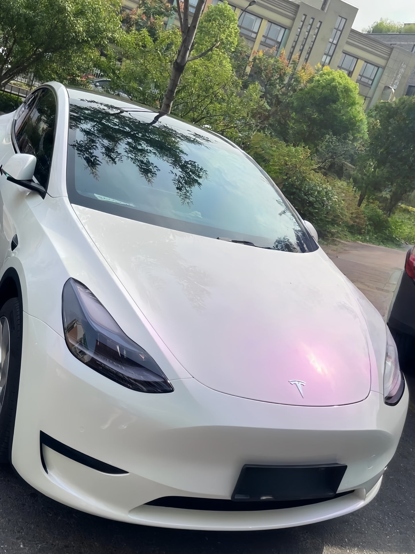 Anole High Glossy White to Purple Vinyl Car Wrap