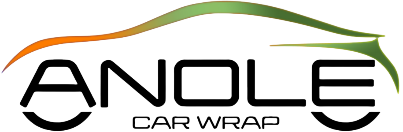 Anolecarwrap