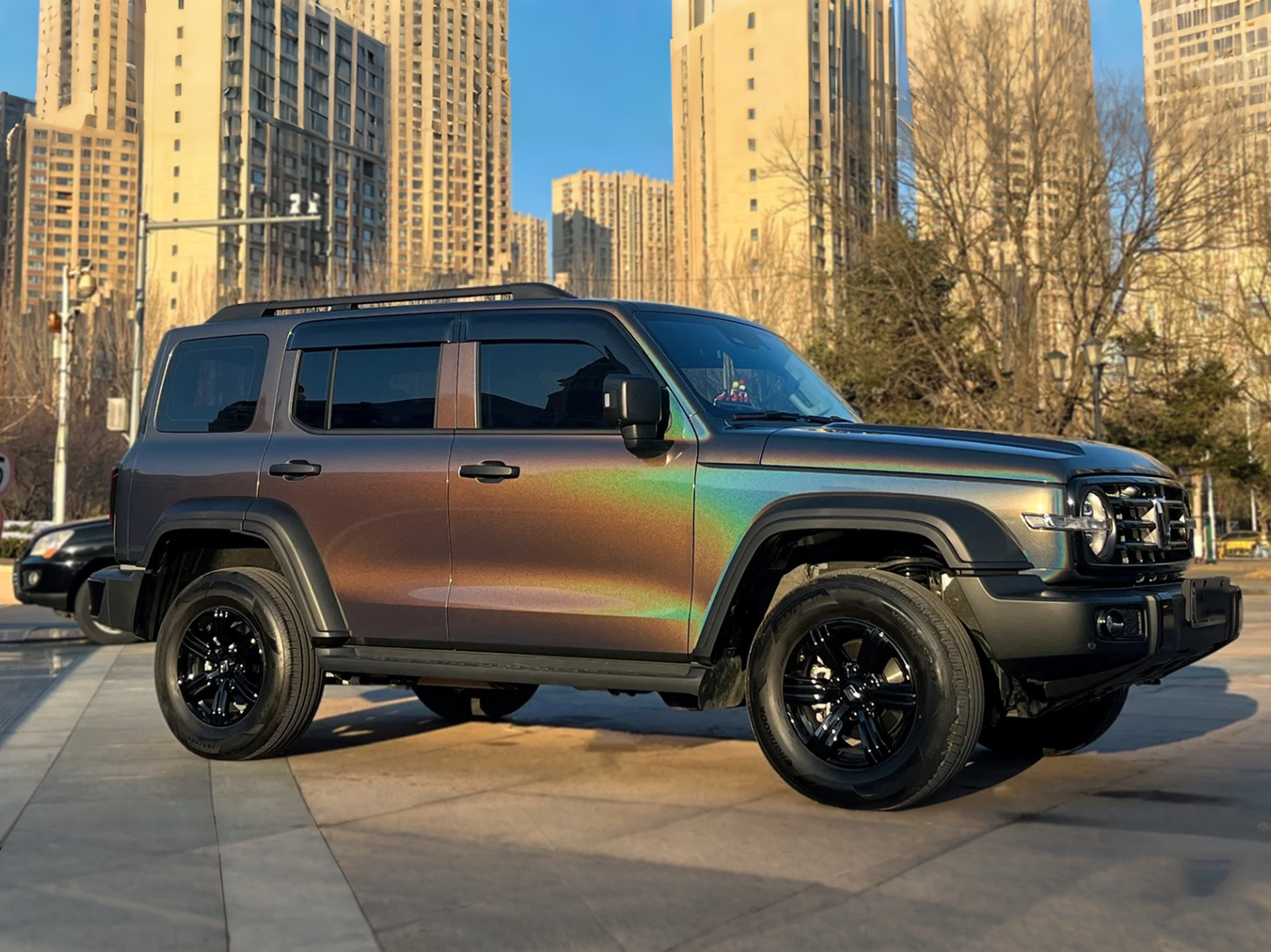 Anole Rainbow Metallic Majestic Dark Gray Vinyl Wrap Car