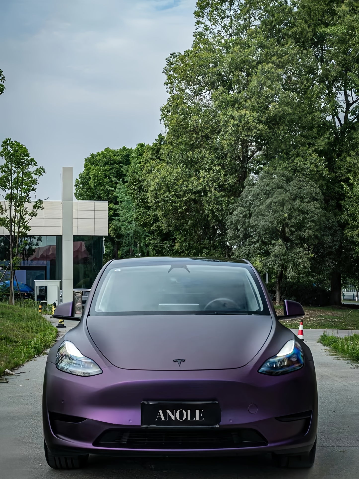 Anole Matte Russian Violet Vinyl Car Wrap