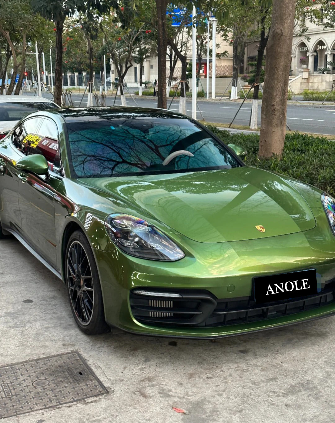 Anole Glossy Metallic Mamba Green Vinyl Car Wrap