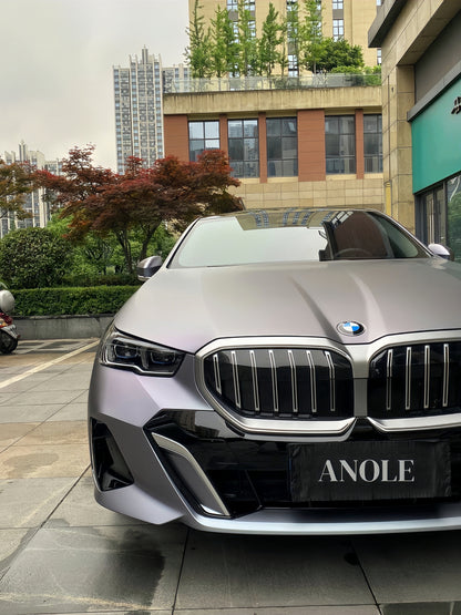 Anole Matte Gunmetal Silver Purple Vinyl Car Wrap