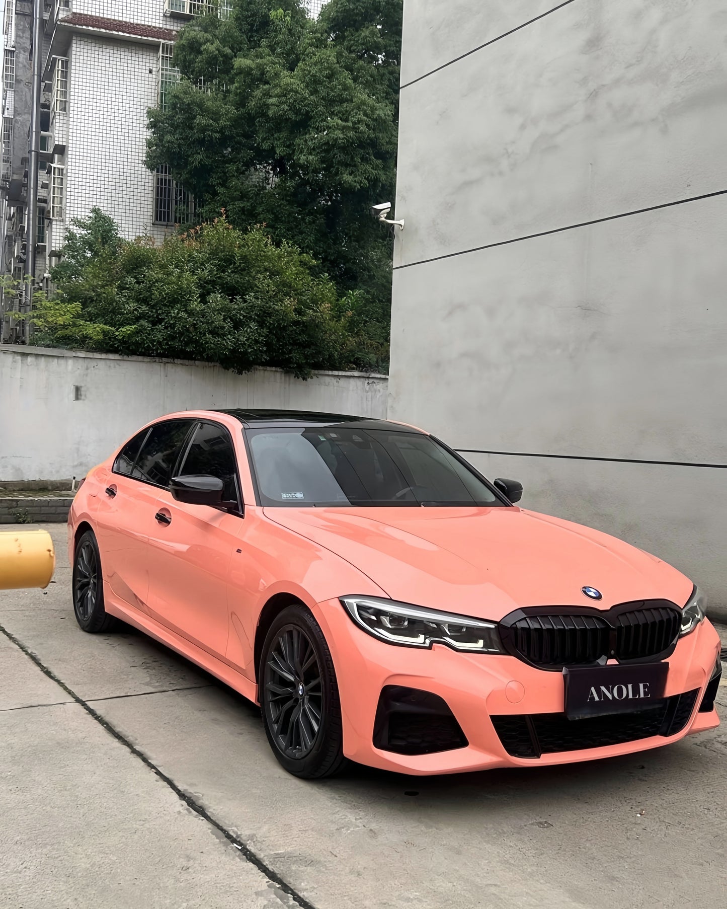 Anole Super Glossy Bubblegum / Piggy Pink Vinyl Car Wrap
