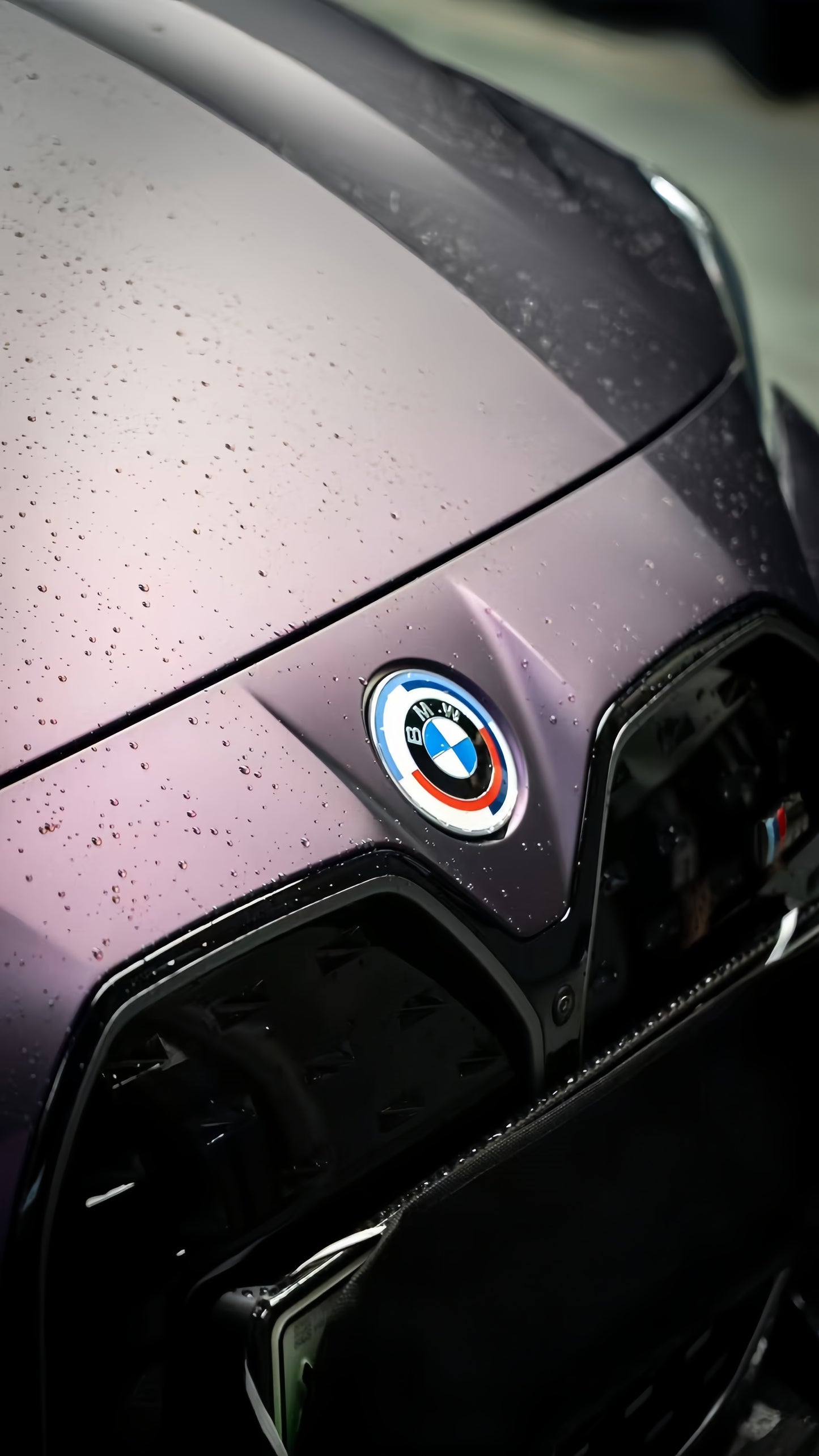 Anole TPU Pinot Noir purple Color PPF Paint Protection Film