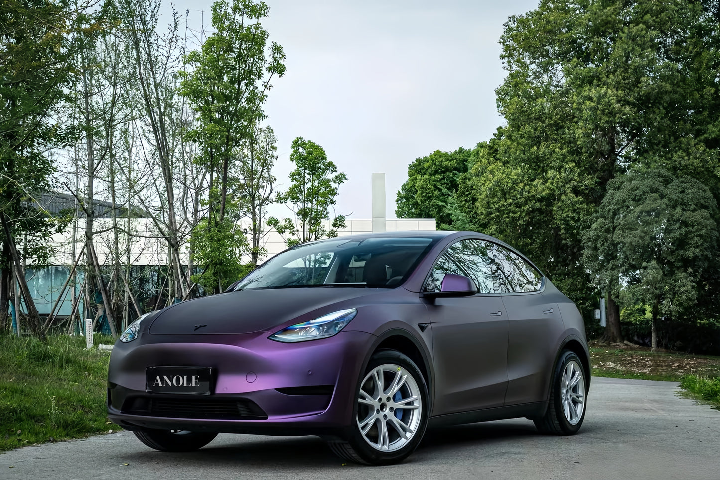 Anole Matte Russian Violet Vinyl Car Wrap