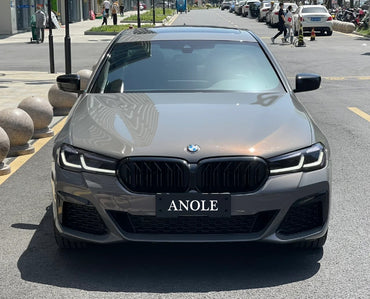 Anole Glossy Metallic Bernina Gray Car Vinyl Wrap