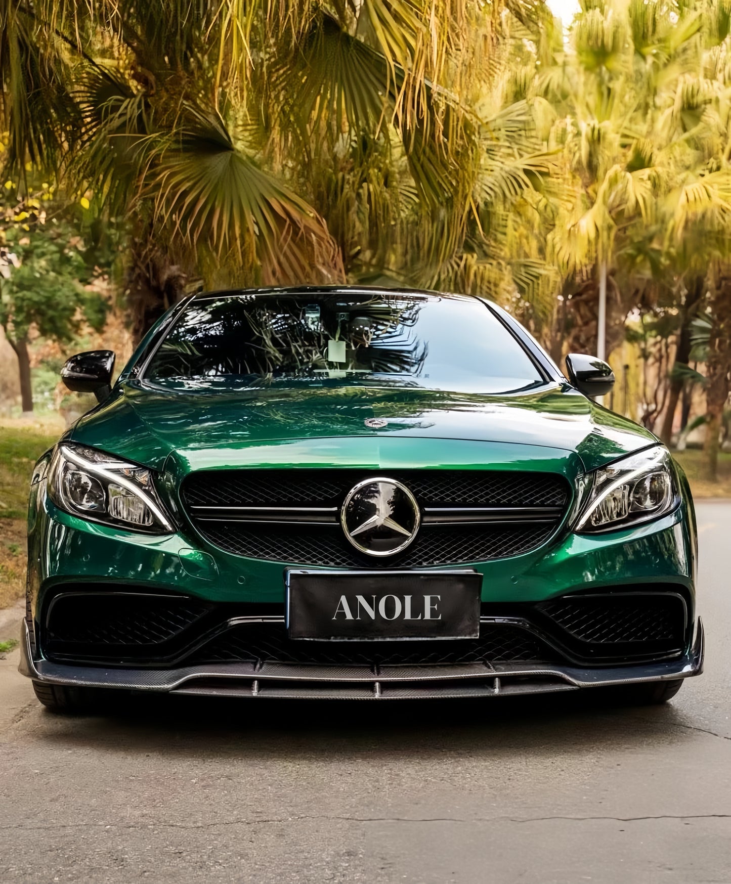Anole Glossy Metallic La Salle Green Agate Green Vinyl Car Wrap