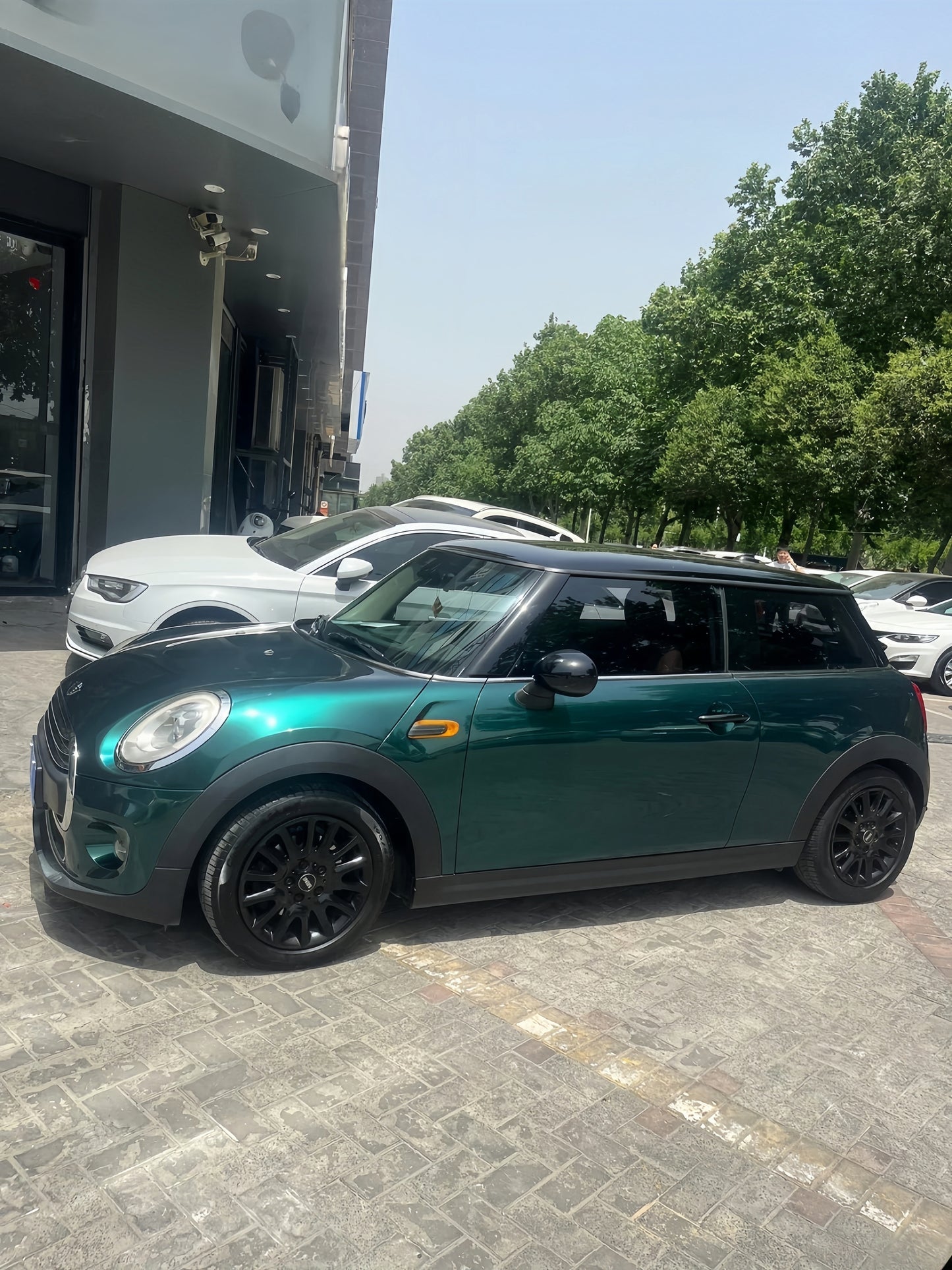 Anole Glossy Metallic Royal Green Vinyl Wrap