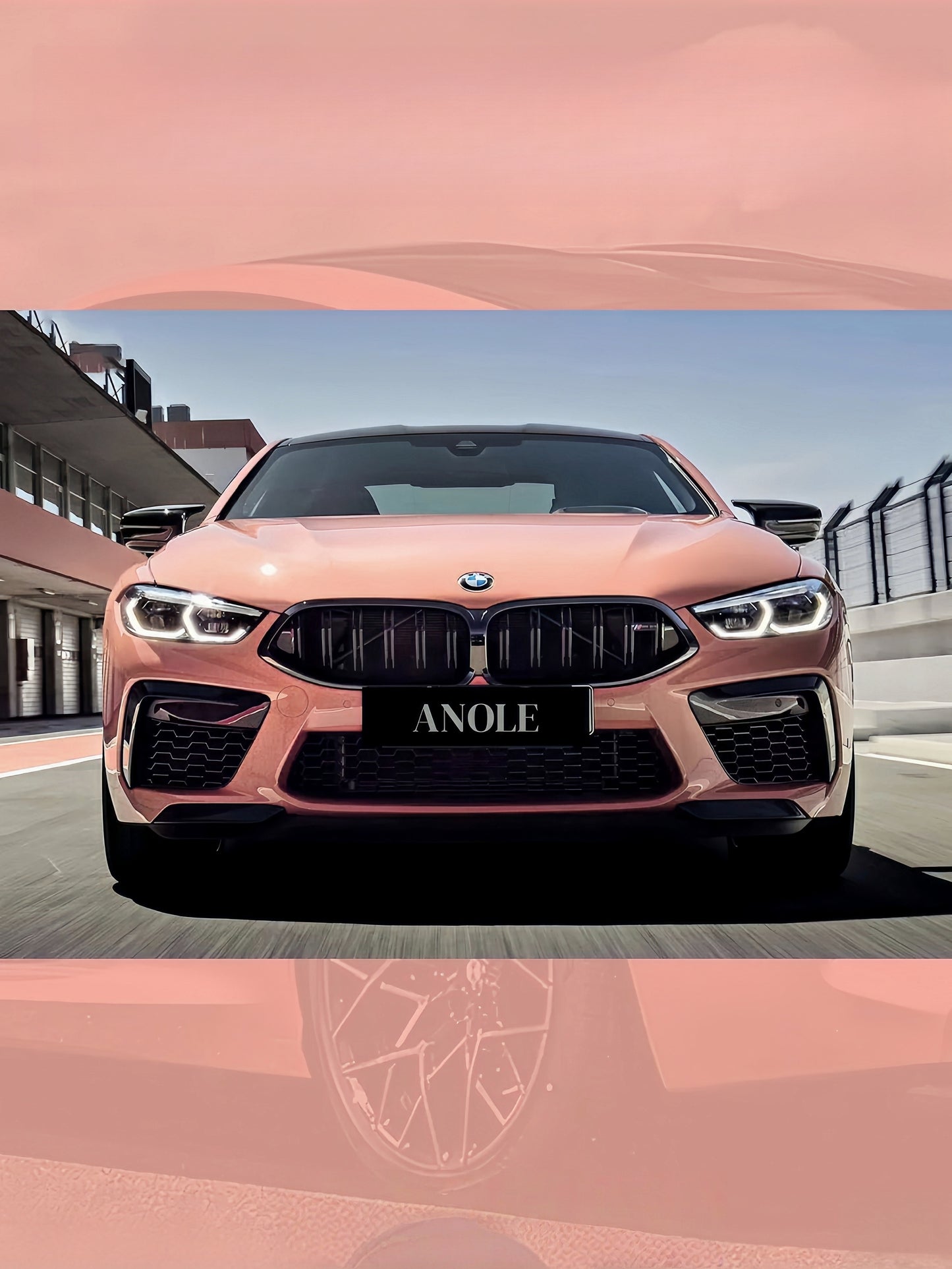 Anole Super Glossy Bubblegum / Piggy Pink Vinyl Car Wrap