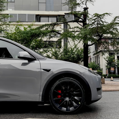 Anole High Glossy Gentle Gray Car Wrap