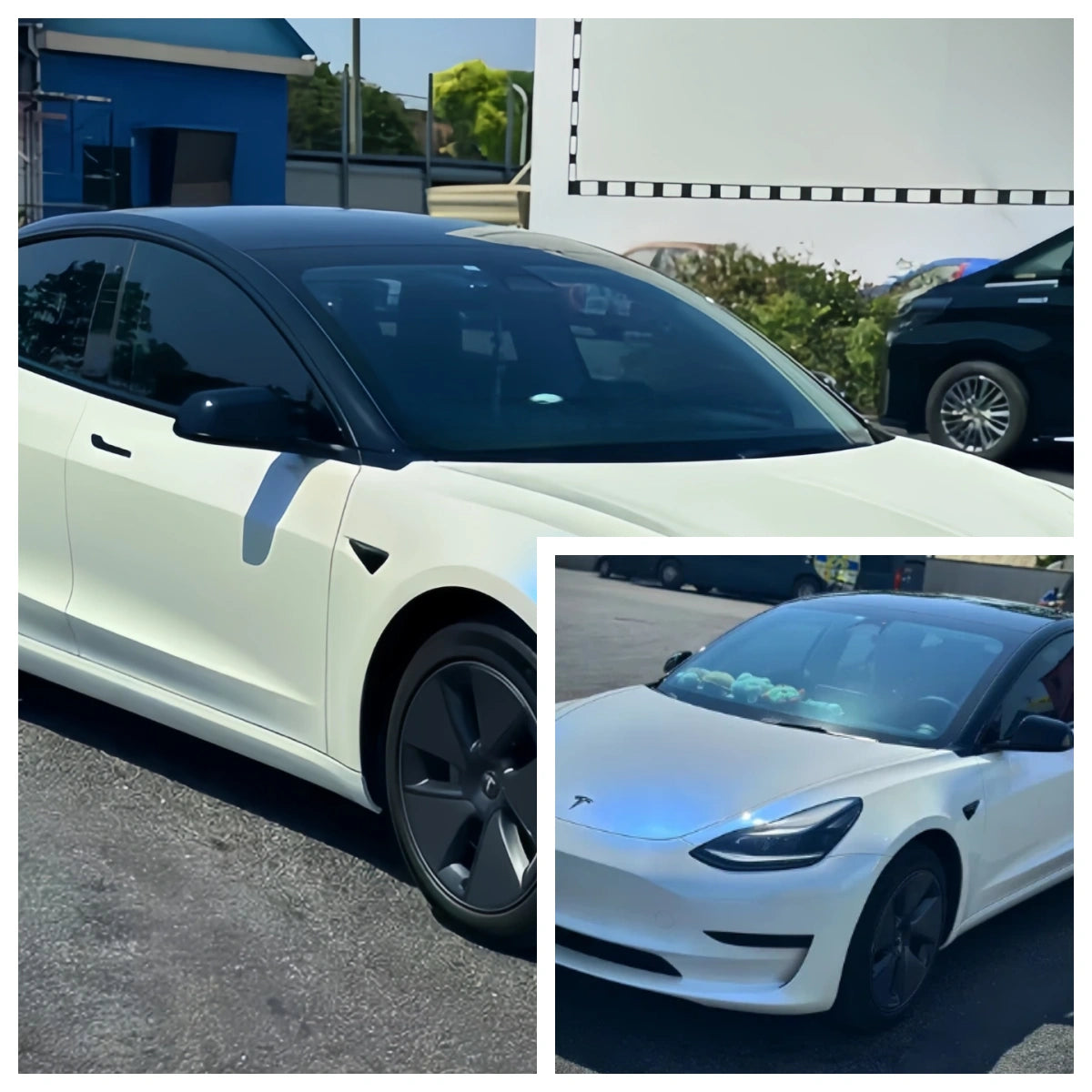 Anole High Glossy White to Blue Car Wrap Vinyl