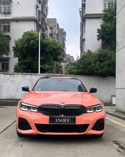 Anole Super Glossy Bubblegum / Piggy Pink Vinyl Car Wrap