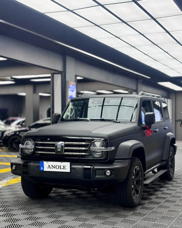 Anole Frosted Matte Black Vinyl Car Wrap