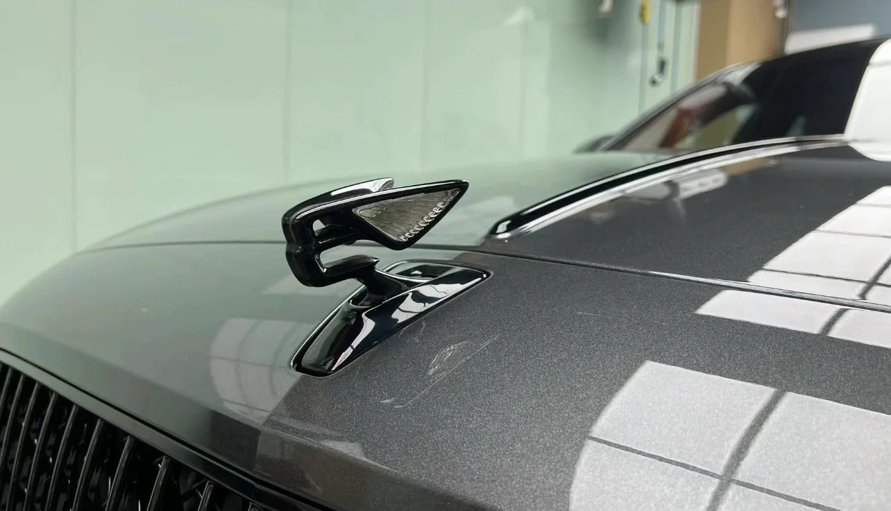 Anole Glossy Metallic Dim Gray Car Vinyl Wrap