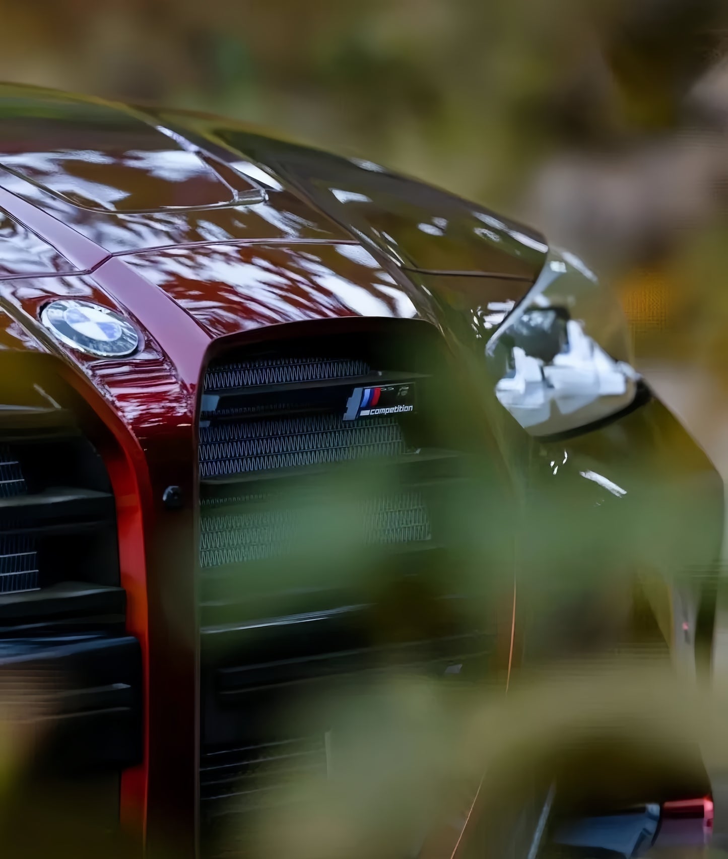 Anole Glossy Metallic Rufous Red Car Vinyl Wrap