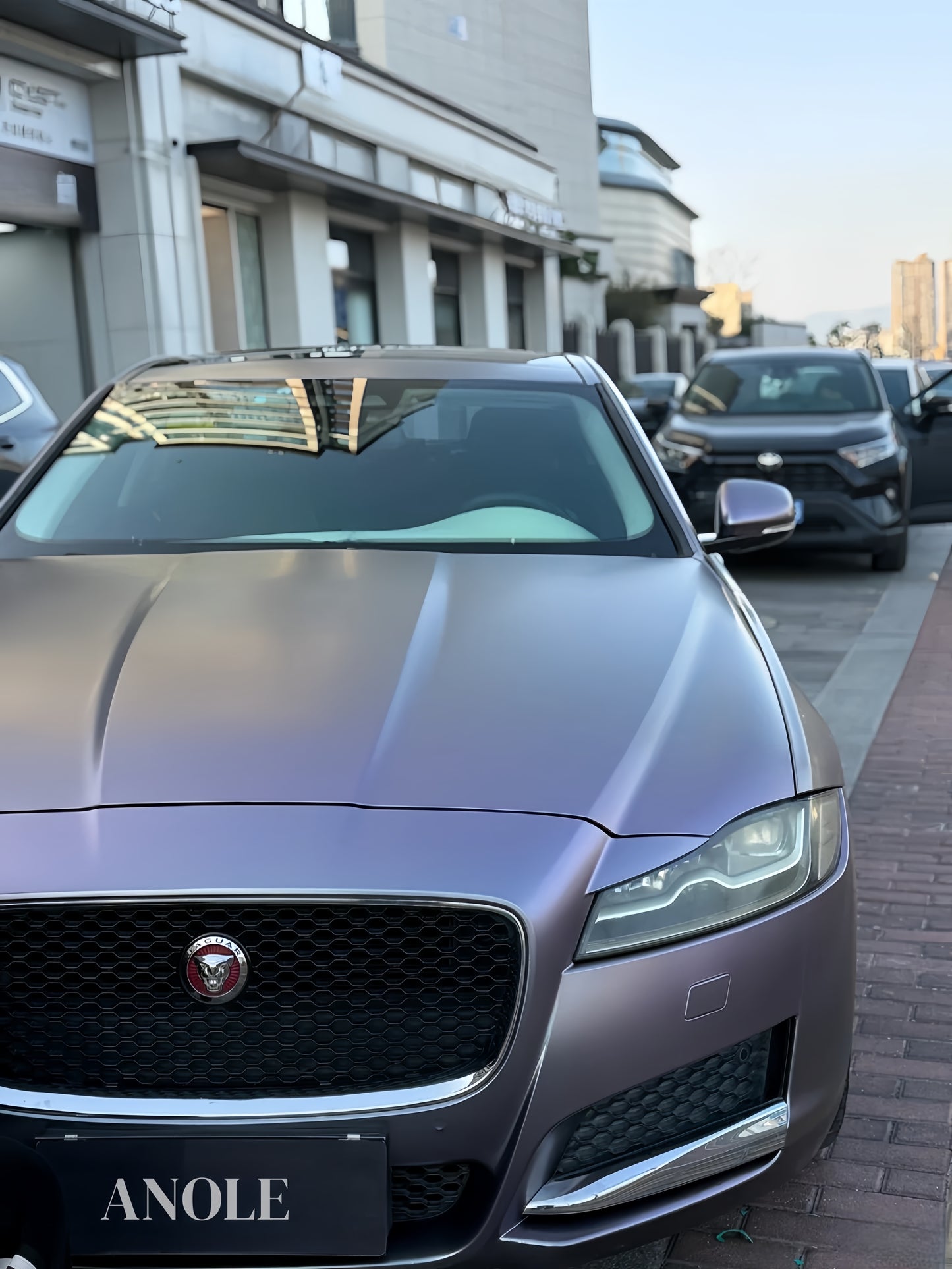 Anole Matte Gunmetal Silver Purple Vinyl Car Wrap