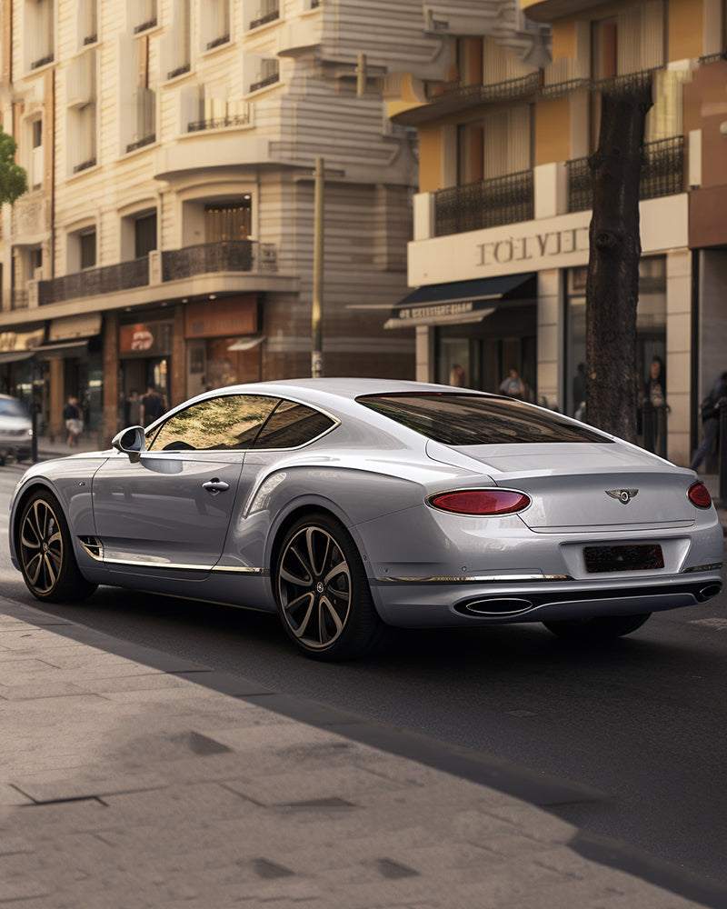 Anole High Glossy Gainesboro Gray Car Vinyl Wrap