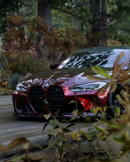 Anole Glossy Metallic Rufous Red Car Vinyl Wrap