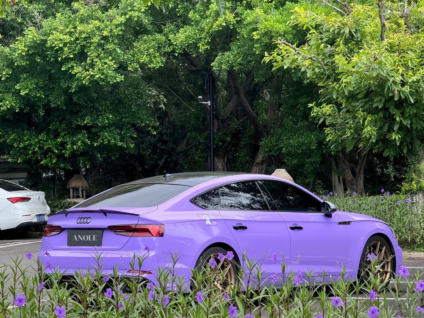 Anole Super Glossy Lavender Purple Vinyl Car Wrap