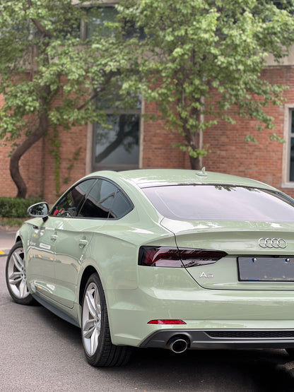 Anole Super Glossy Pistachio Green Vinyl Car Wrap