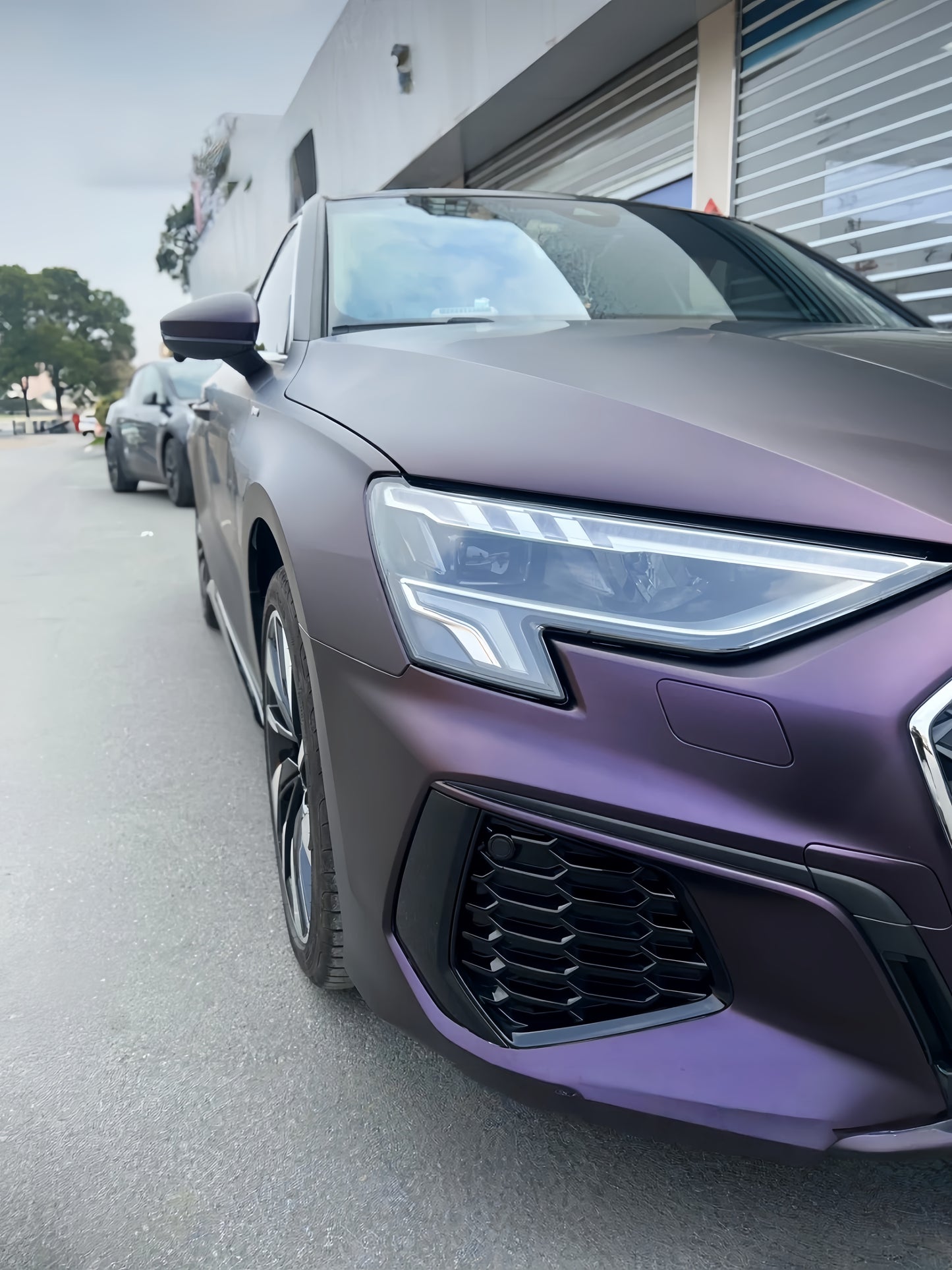 Anole Matte Dark Purple Vinyl Wrap Car