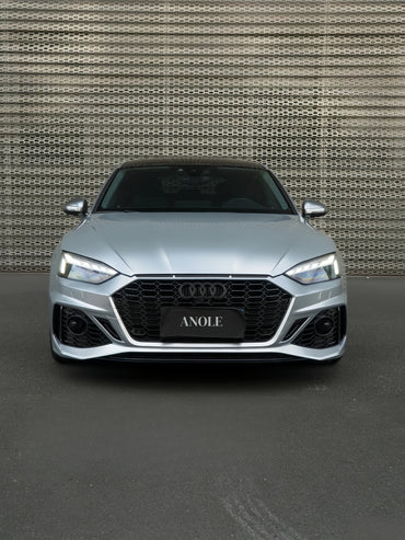 Anole Glossy Metallic Florett Silver Car Vinyl Wrap