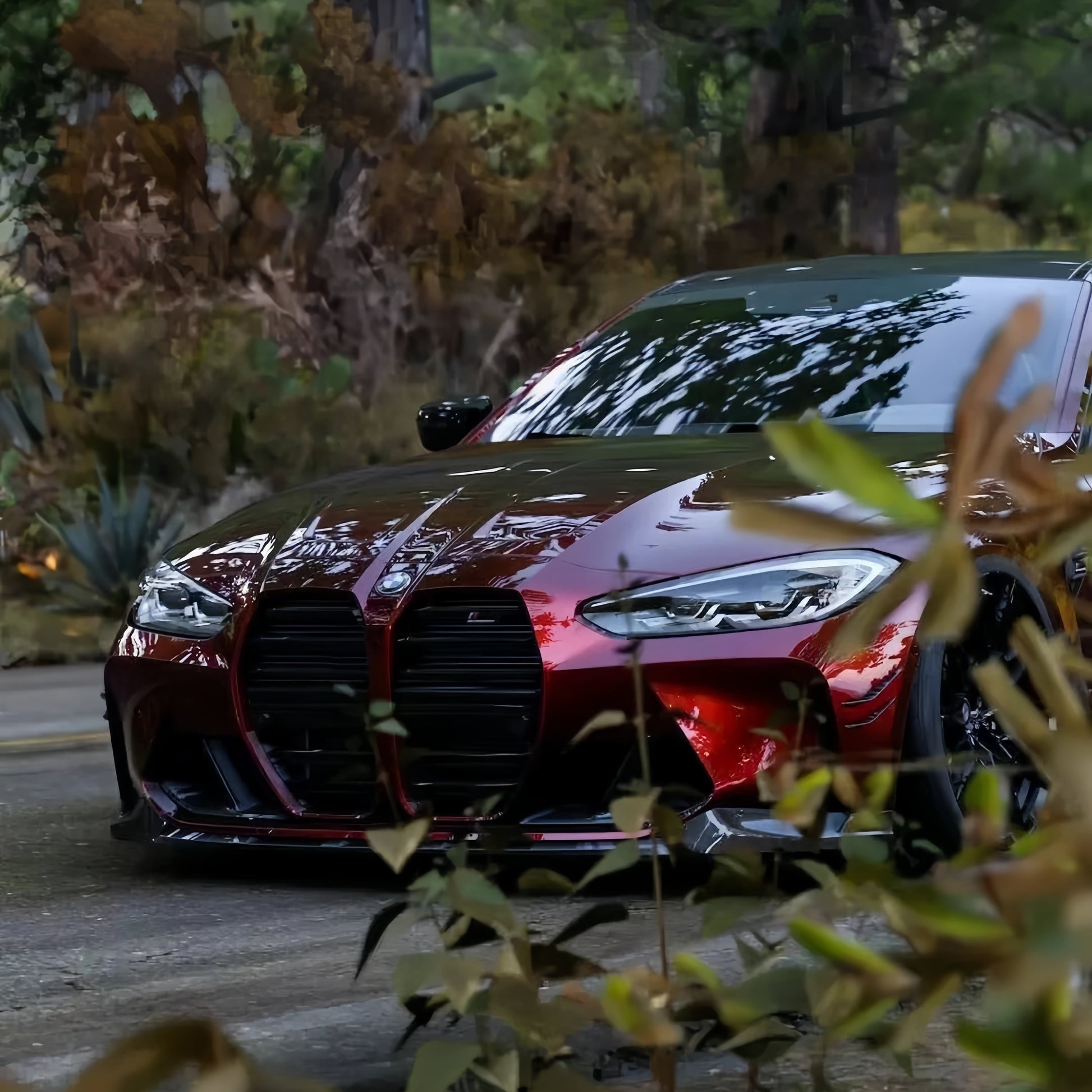Anole Glossy Metallic Rufous Red Car Vinyl Wrap 16