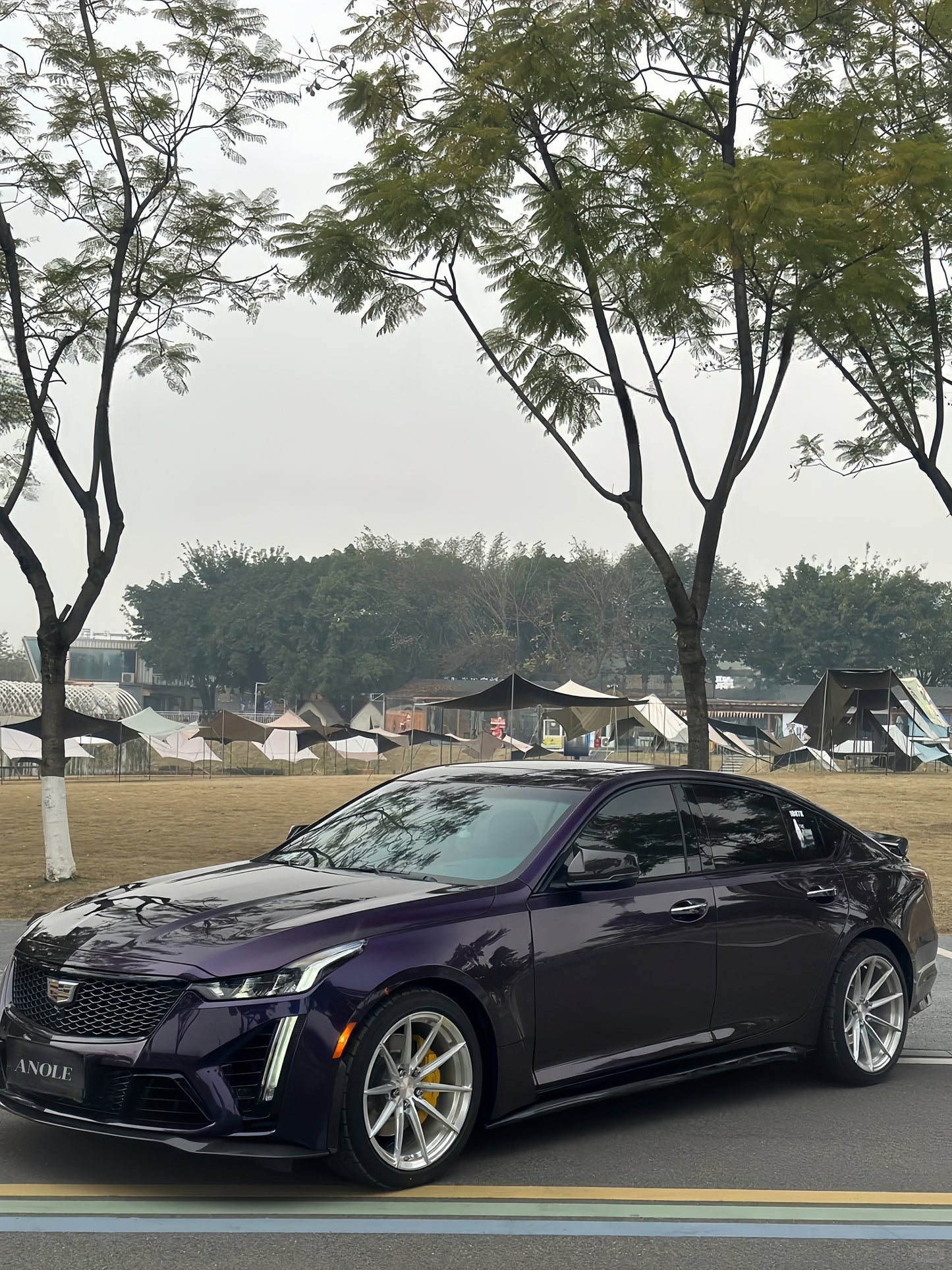 Anole Gloss Plus Midnight Purple Car Vinyl Wrap