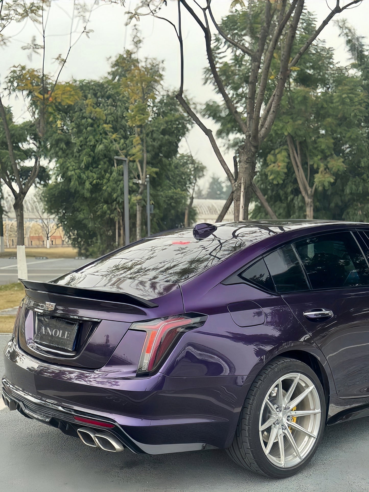 Anole Gloss Plus Midnight Purple Car Vinyl Wrap